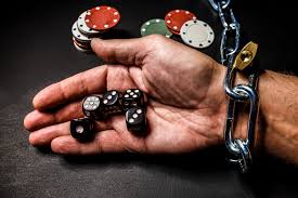 Онлайн казино Casino Cat